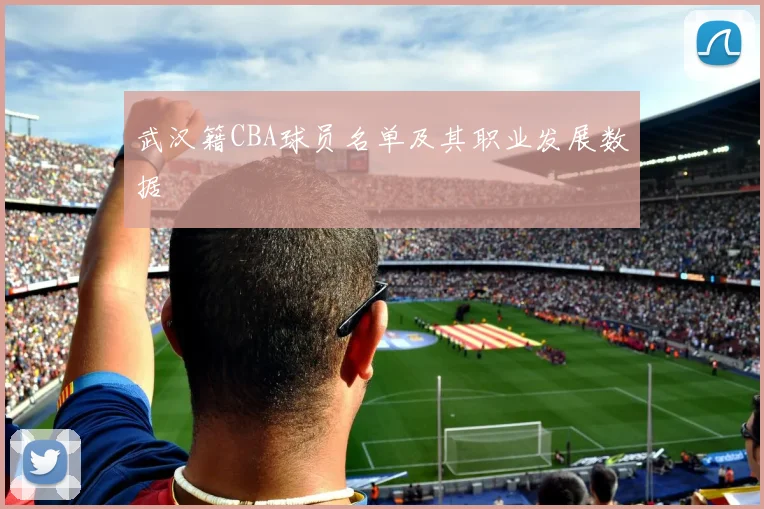 武汉籍CBA球员名单及其职业发展数据