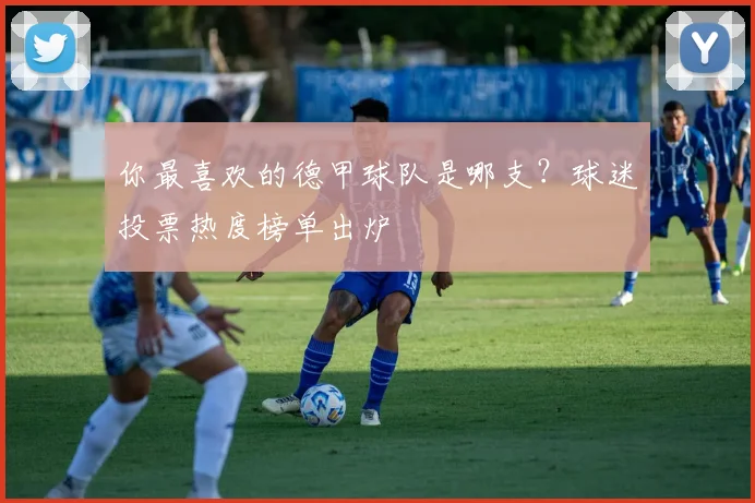 你最喜欢的德甲球队是哪支？球迷投票热度榜单出炉