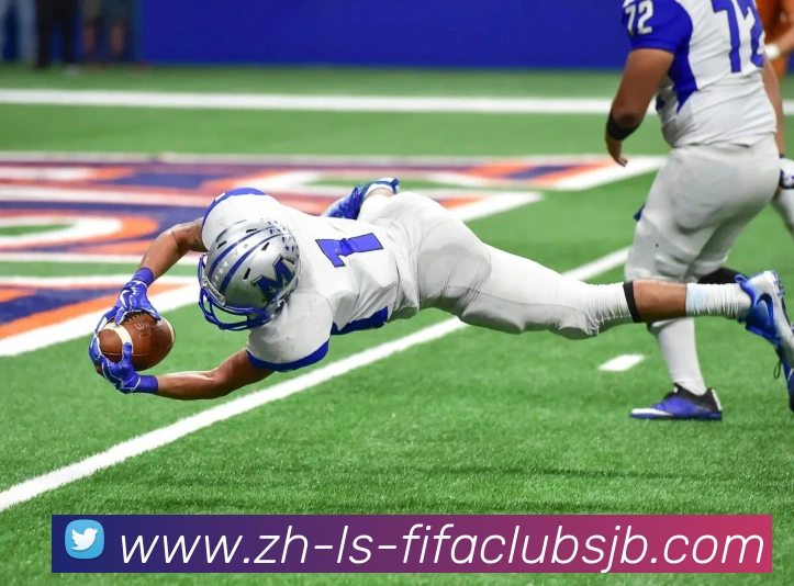 世界杯赛程平台生态图